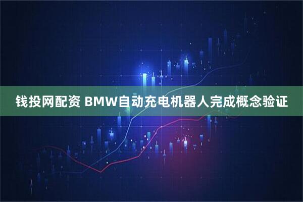 钱投网配资 BMW自动充电机器人完成概念验证