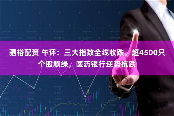 驷裕配资 午评：三大指数全线收跌，超4500只个股飘绿，医药银行逆势抗跌